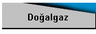 Doalgaz